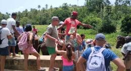 Punta Cana: Samaná Cayo Levantado & El Limón Waterfall Tour