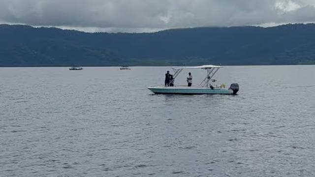 Puerto Jiménez: Dolphin Watching with a Snorkeling Stop
