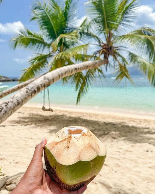 Playa Ermitano & Playa Honda Boat Tour from El Valle Beach - Samana