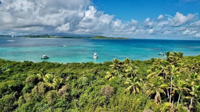 Icacos or Palomino: Luxury Yacht Tour. Snorkeling and Lunch