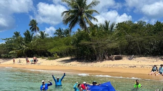 Vieque: Power Boat Turtle Snorkel and Beach Tour with Lunch
