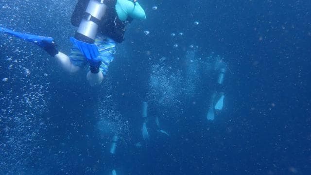 Golfito CR: Discover Scuba Diving Tour, No Experience Needed