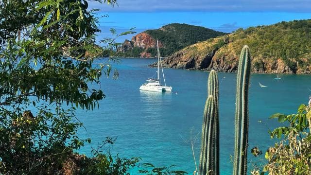Fajardo: Catamaran Day Cruise to Palomino Island with Lunch