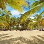 Punta Cana: Boat Tour to Isla Saona, Open Bar & Buffet Lunch