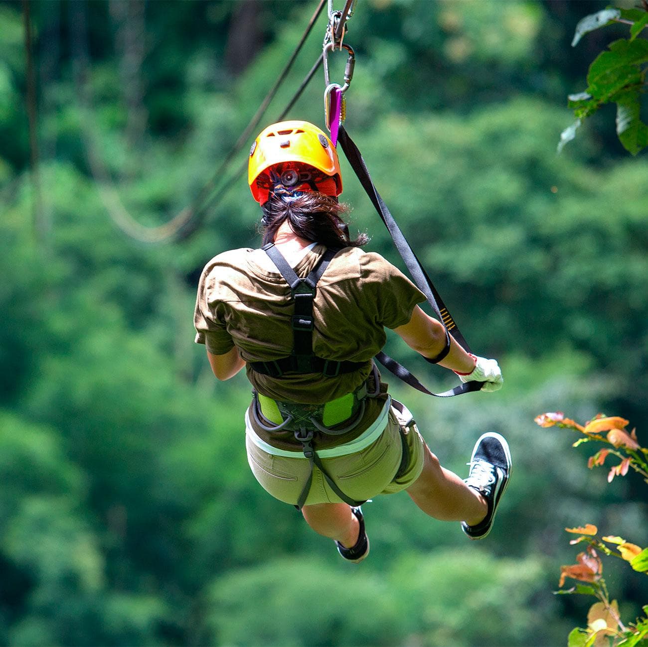Zipline Punta Cana – Ziplining in the Jungle