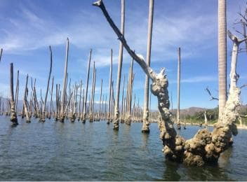 Barahona: Lake Enriquillo Discovery Tour