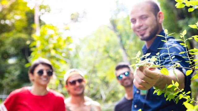 Jaco Beach: 5-in-1 Rainforest Adrenaline Adventure