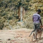 Samana: Bird Watching & Limon Waterfall