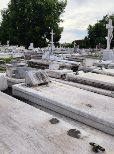 Havana Colón Cemetery Free Tour