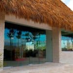 Punta Cana: Dolphin Discovery Swims and Encounters