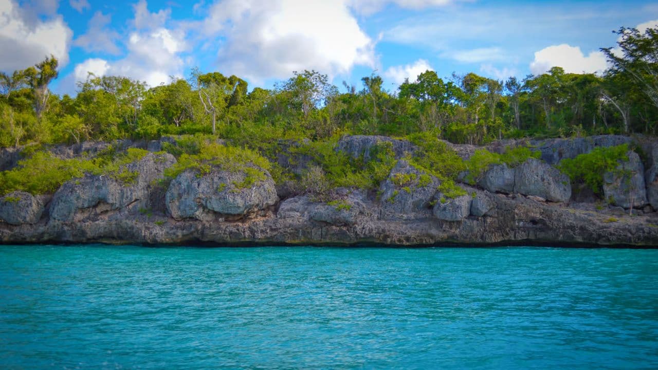 Punta Cana: Saona Island Full Day With Catamaran and Buffet