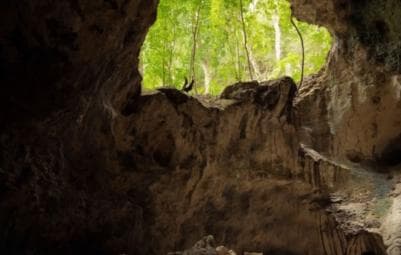 Samana: Los Haitises, Caño Hondo, Kayak Tour with Lunch