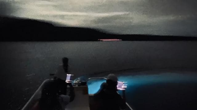 Vieques: Bioluminescent Bay Boat Tour