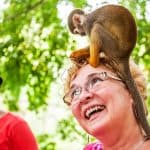 Punta Cana: Monkey Land Half-Day Safari and Plantation