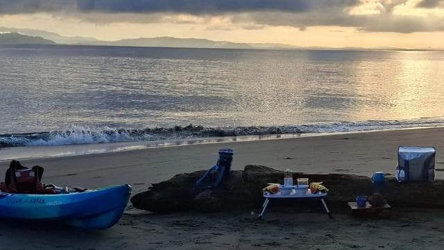 Puerto Jimenez: Kayak Adventure in the Golfo Dulce + Bioluminescence