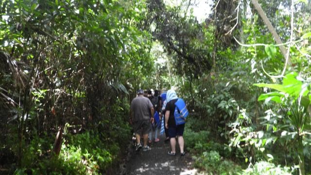 From San Juan: Rainforest Walk, Nature Swim & Luquillo Beach