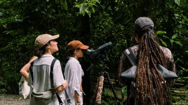 Manuel Antonio: Birdwatching exclusive tour