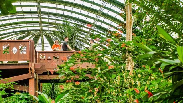 Monteverde: Zip Lines, Bridges, Butterflies, Sloths and more
