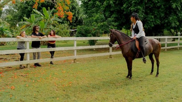 Hacienda Campo Rico: 2-hour history and horse demonstration