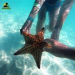 Saona Island Tour from Punta Cana – Natural Pool Excursion