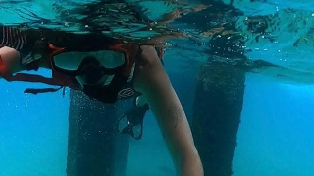 San Juan: Snorkeling with Turtles Adventure and Free Videos