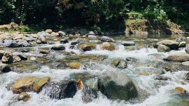 Concrete Jungle to the Actual Jungle, Complete Package Tour
