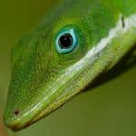 Hike + Kayak Los Haitises National Park from Boca Chica