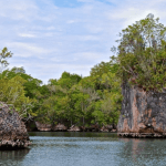 Los Haitises Boat Ride + Caño Hondo Natural Pools