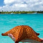 Saona Island Private Tour from La Romana Hotels – La Romana Lobby