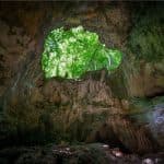 Los Haitises National Park + Lunch at Caño Hondo from Sabana de la Mar