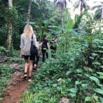 El Limón Waterfall & Los Haitises Private Tour From Samaná