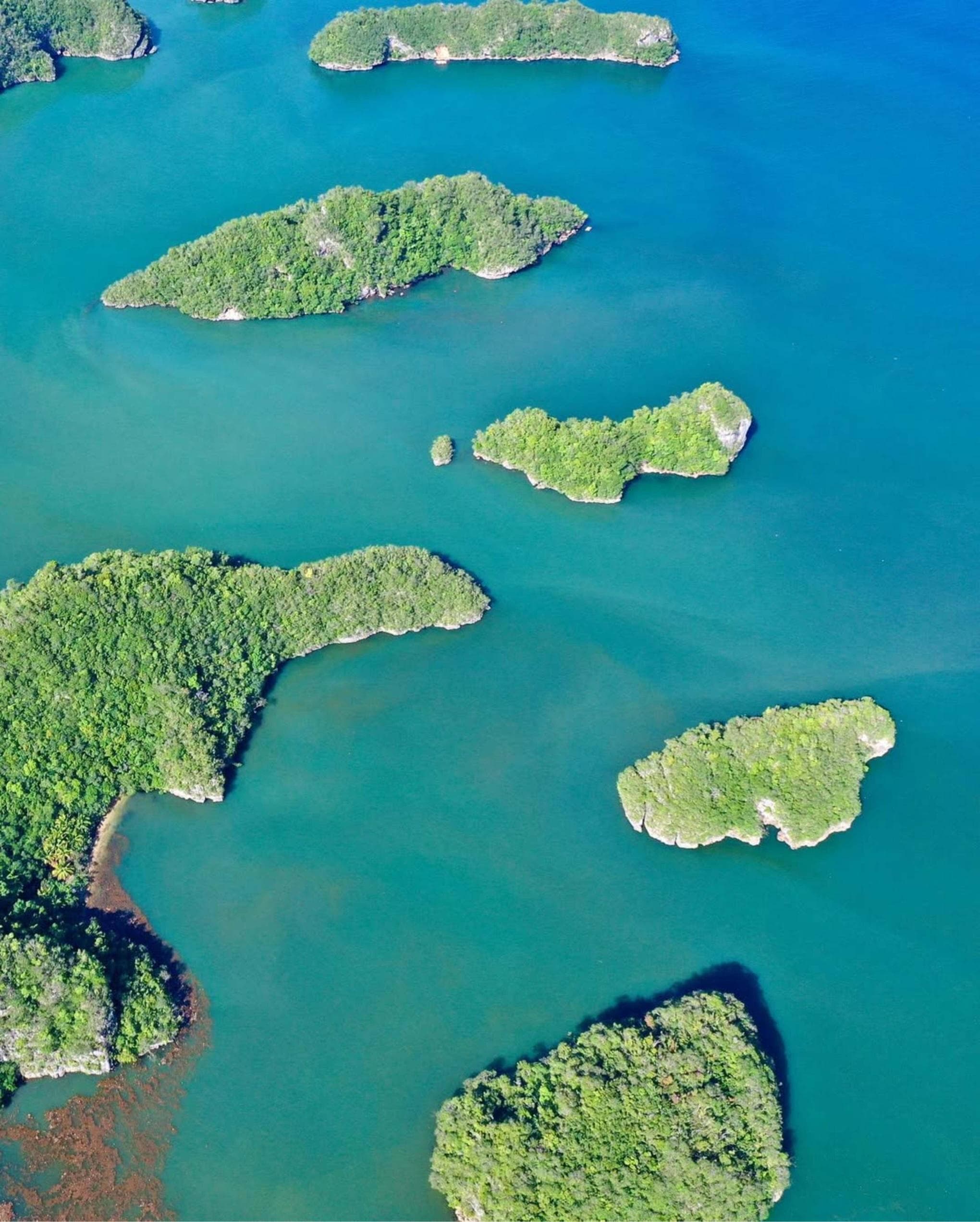Los Haitises National Park Jungle Hike & Kayak Adventure