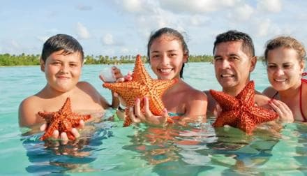 Saona Island: Full-Day Boat Tour All Inclusive