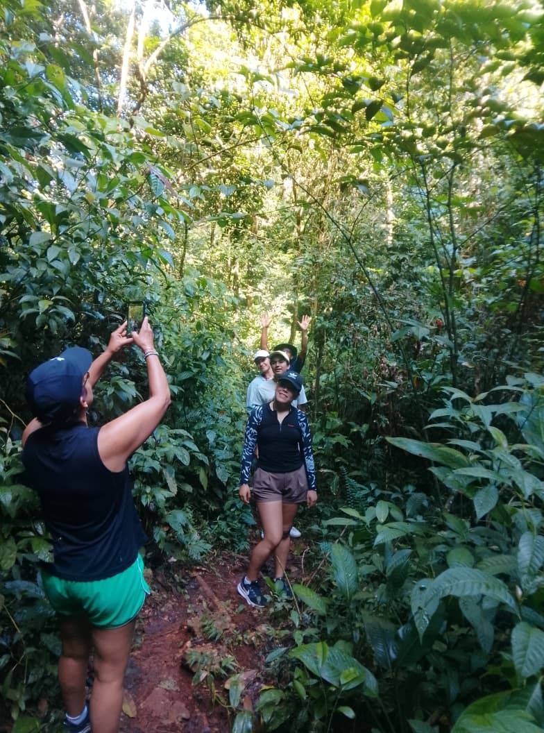 Los Haitises Rainforest Hiking & Birdwatching (2 Hours)