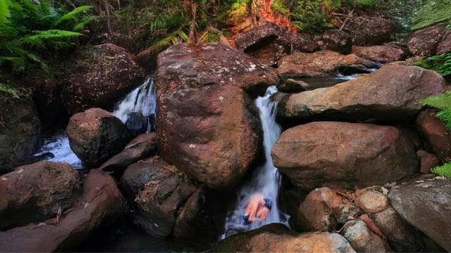 Discover a Hidden Paradise & Learn about Plants.