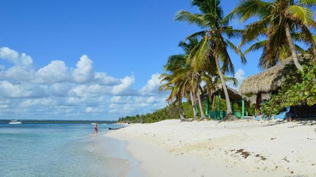 Catalina Island & Altos de Chavón From Punta Cana