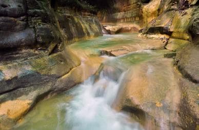 Puerto Plata: Damajagua Waterfalls Full-Day Adventure