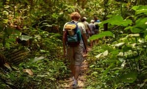Hiking trails in Barahona (Dominican Republic). Cachote Mountains, Tropical Fruits & Swim