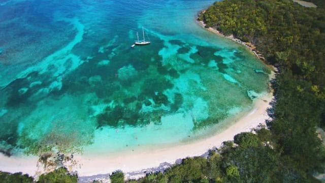 Fajardo: Catamaran Day Cruise to Palomino Island with Lunch