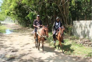 Beach horse back riding with countryside