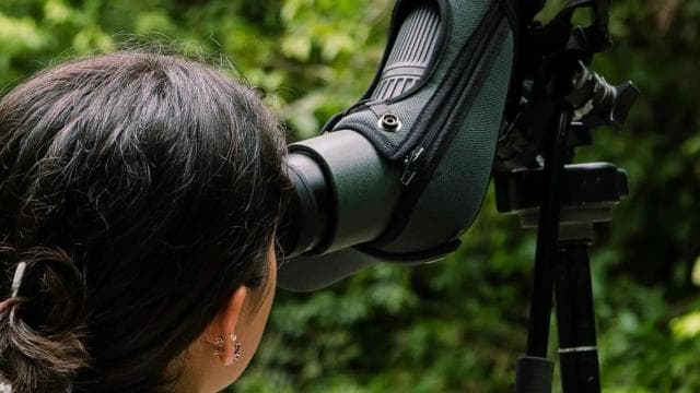Manuel Antonio: Birdwatching exclusive tour