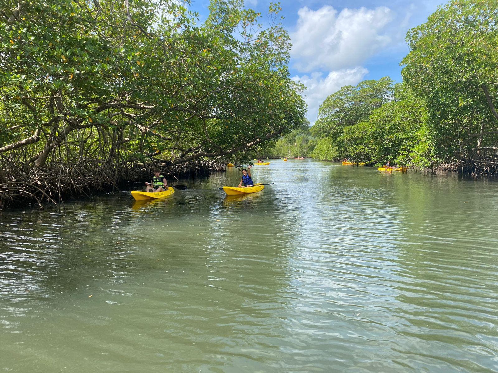 Santo Domingo: Hike and kayaks los Haitises plus Cano hondo pools