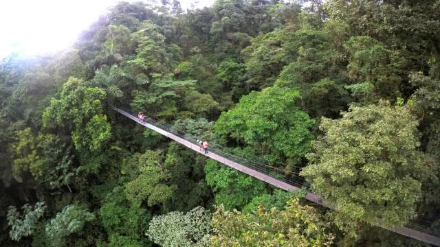Arenal Hanging Bridges Half-Day Tour from La Fortuna