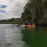 Caño Hondo : Los Haitises Sunrise or Sunset Private Kayak Excursion with Locals