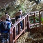 Punta Cana: ATV and Horseback Ride Adventure Tour
