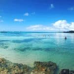 Saona Island Private Tour from Cap Cana Hotels – Cap Cana Lobby