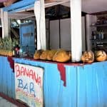 Las Terrenas Cayo levantado (Bacardi Island) Day trip Tour