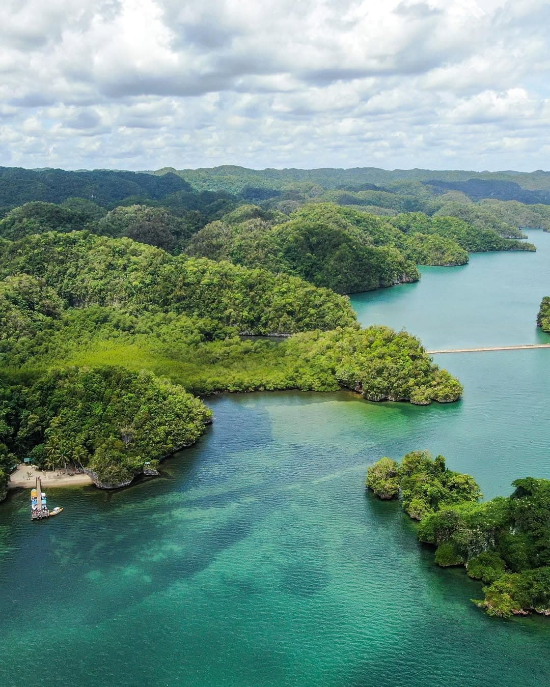 Kayaking in Los Haitises National Park from Caño Hondo | 4-Hour Guided Tour