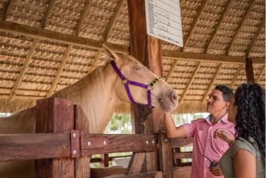 Punta Cana: Eco Park Safari Adventure