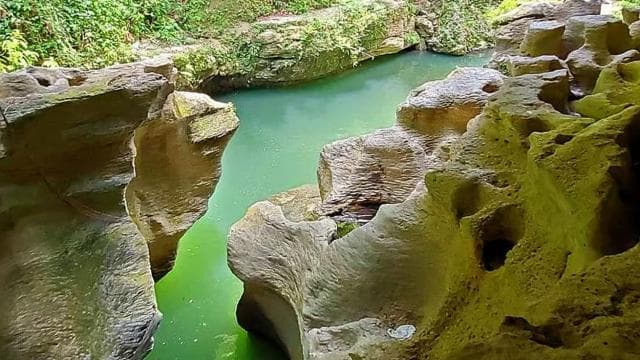 Rainforest Cave Tubing Adventure